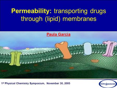 Permeability: transporting drugs through (lipid) membranes