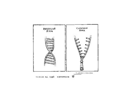 DNA: Review, Replication, & Analysis Two types of DNA Nucleic DNA –Found in the nucleus of a cell –Specific to an individual Mitochondrial DNA (mtDNA)