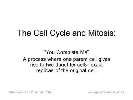 The Cell Cycle and Mitosis: