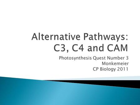 Photosynthesis Quest Number 3 Monkemeier CP Biology 2011.