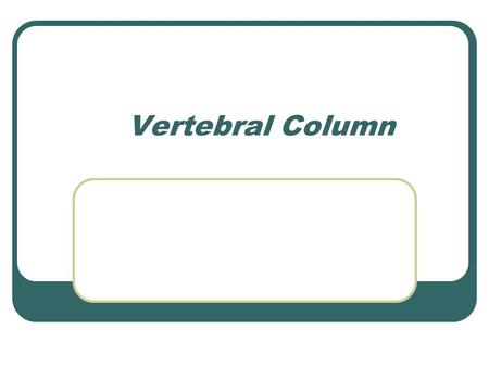 Vertebral Column.