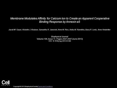 Membrane Modulates Affinity for Calcium Ion to Create an Apparent Cooperative Binding Response by Annexin a5 Jacob W. Gauer, Kristofer J. Knutson, Samantha.