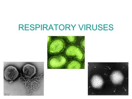 RESPIRATORY VIRUSES.