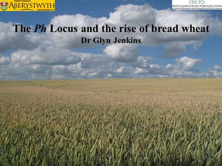 The Ph Locus and the rise of bread wheat Dr Glyn Jenkins.