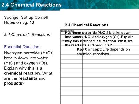 Sponge: Set up Cornell Notes on pg. 13 2