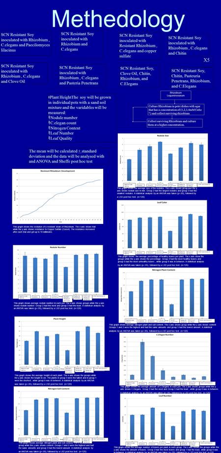Methedology SCN Resistant Soy inoculated with Rhizobium, C.elegans and Paecilomyces lilacinus SCN Resistant Soy inoculated with Rhizobium and C.elegans.