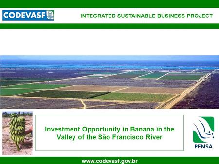 1 www.codevasf.gov.br Investment Opportunity in Banana in the Valley of the São Francisco River INTEGRATED SUSTAINABLE BUSINESS PROJECT.