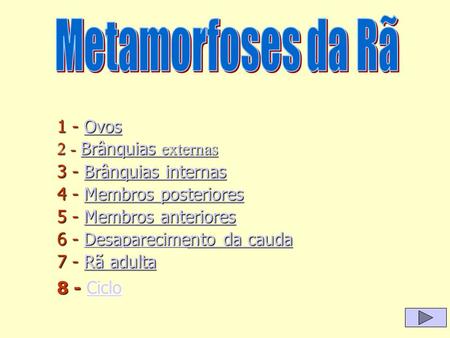 1 - Ovos Ovos 2 - Brânquias externas Brânquias externas Brânquias externas 3 - Brânquias internas Brânquias internasBrânquias internas 4 - Membros posteriores.