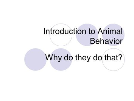 Introduction to Animal Behavior