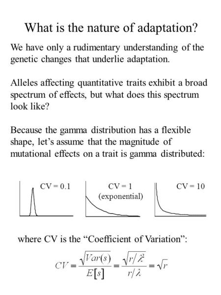 What is the nature of adaptation? We have only a rudimentary understanding of the genetic changes that underlie adaptation. Alleles affecting quantitative.