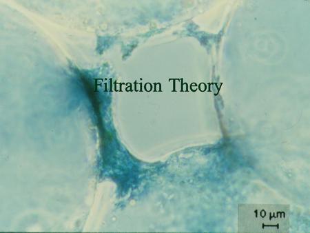 Monroe L. Weber-Shirk S chool of Civil and Environmental Engineering Filtration Theory.