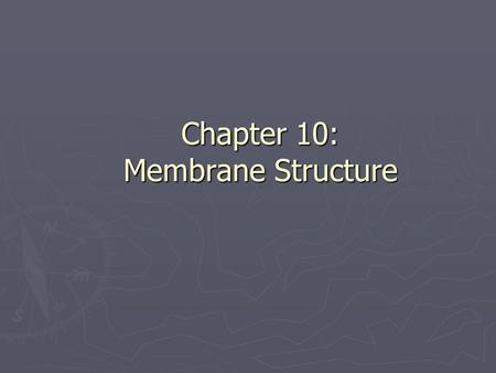 Chapter 10: Membrane Structure