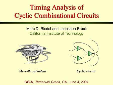 Timing Analysis of Cyclic Combinational Circuits Marc D. Riedel and Jehoshua Bruck California Institute of Technology IWLS, Temecula Creek, CA, June 4,