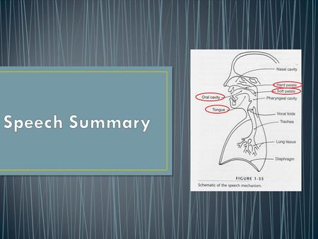 Abdominal Muscles: down and out Diaphragm: down External Intercostals: ribs up and out Inspiration.