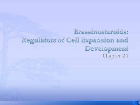 Chapter 24.  Considered plant hormones because of their ability to cause dramatic changes in growth and differentiation at low concentrations  Brassica.