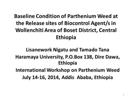 Baseline Condition of Parthenium Weed at the Release sites of Biocontrol Agent/s in Wollenchiti Area of Boset District, Central Ethiopia Lisanework Nigatu.