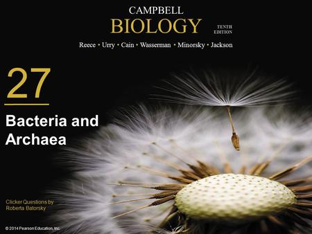 Bacteria and Archaea.