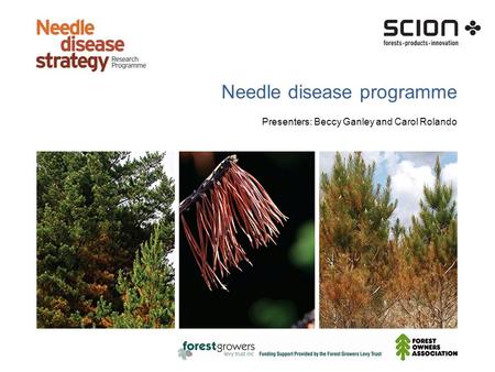 Needle disease programme Presenters: Beccy Ganley and Carol Rolando.