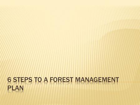  Learn from others. Talk to:  Neighbours,  Members of the Ontario Woodlot association  The Ministry of Natural Resources forest staff  The Ministry.