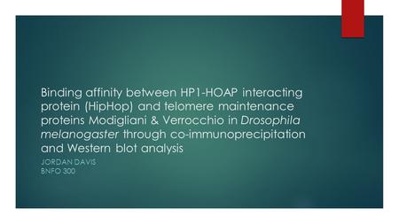 Binding affinity between HP1-HOAP interacting protein (HipHop) and telomere maintenance proteins Modigliani & Verrocchio in Drosophila melanogaster through.