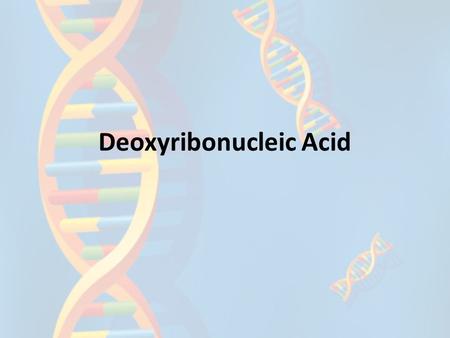 Deoxyribonucleic Acid. Goals Who helped discover DNA? What does DNA look like? What is DNA made of? What is the job of DNA? Where does DNA come from?