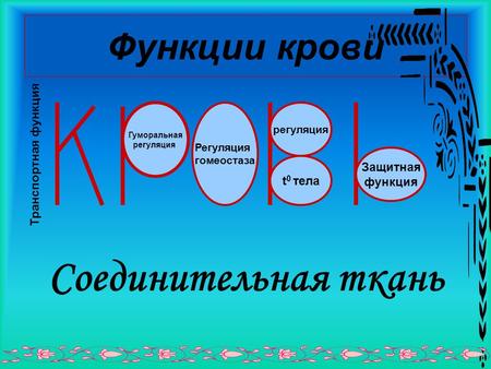 Функции крови Соединительная ткань Гуморальная регуляция Регуляция гомеостаза регуляция t 0 тела Защитная функция Транспортная функция.