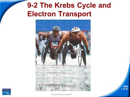 9-2 The Krebs Cycle and Electron Transport