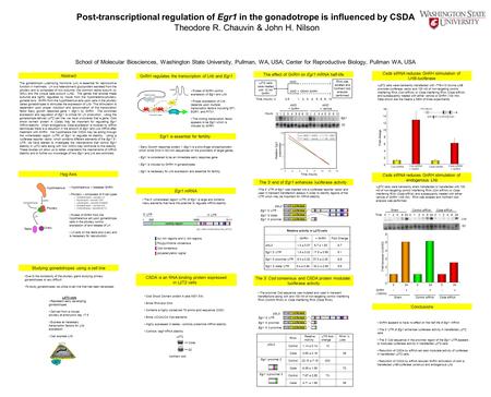 Post-transcriptional regulation of Egr1 in the gonadotrope is influenced by CSDA Theodore R. Chauvin & John H. Nilson School of Molecular Biosciences,