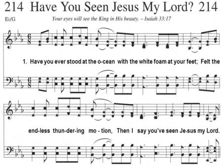 1. Have you ever stood at the o-cean with the white foam at your feet; Felt the end-less thun-der-ing mo - tion, Then I say you’ve seen Je - sus my Lord.