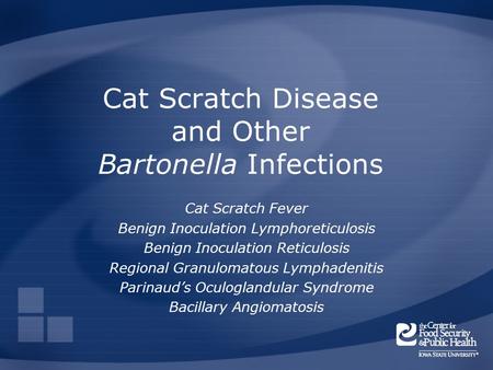 Cat Scratch Disease and Other Bartonella Infections