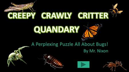 A Perplexing Puzzle All About Bugs! By Mr. Nixon.