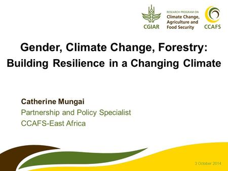 Gender, Climate Change, Forestry: Building Resilience in a Changing Climate Catherine Mungai Partnership and Policy Specialist CCAFS-East Africa 3 October.