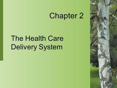 The Health Care Delivery System