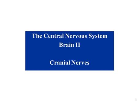 The Central Nervous System