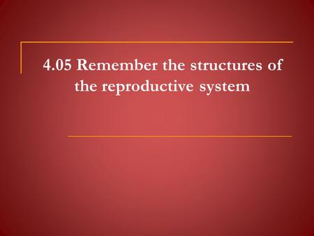 4.05 Remember the structures of the reproductive system