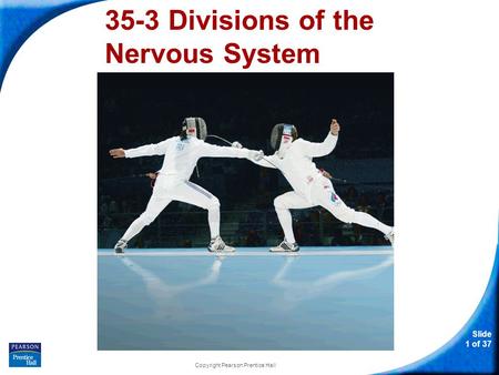 35-3 Divisions of the Nervous System