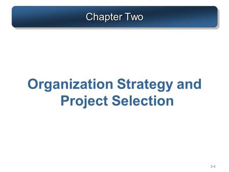 Organization Strategy and Project Selection