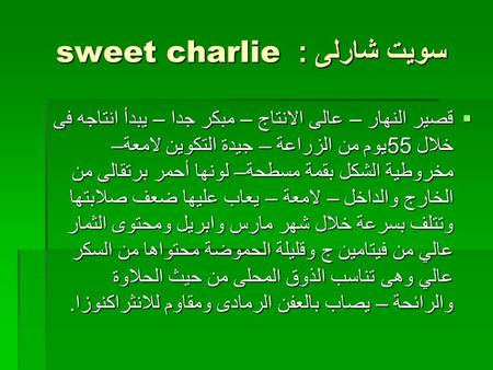 سويت شارلى : sweet charlie