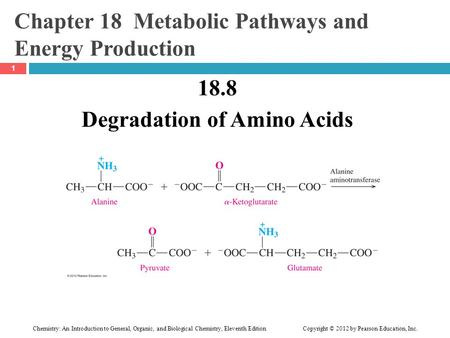 Chemistry: An Introduction to General, Organic, and Biological Chemistry, Eleventh Edition Copyright © 2012 by Pearson Education, Inc. Chapter 18 Metabolic.