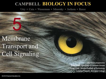 CAMPBELL BIOLOGY IN FOCUS © 2014 Pearson Education, Inc. Urry Cain Wasserman Minorsky Jackson Reece 5 Membrane Transport and Cell Signaling Questions prepared.