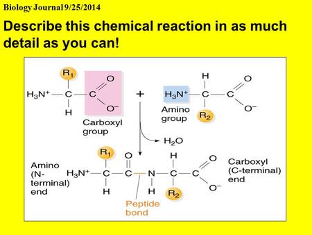 Describe this chemical reaction in as much detail as you can!