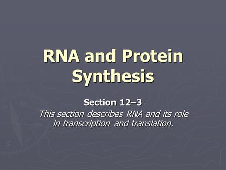 RNA and Protein Synthesis