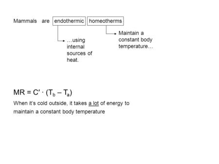 MR = C′ · (Tb – Ta) Mammals are endothermic homeotherms