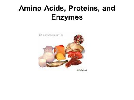 Amino Acids, Proteins, and Enzymes