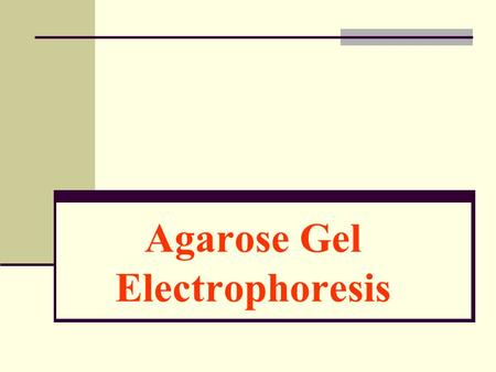 Agarose Gel Electrophoresis