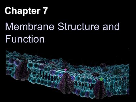 Chapter 7 Membrane Structure and Function. Overview: Life at the Edge The plasma membrane is the boundary that separates the living cell from its surroundings.