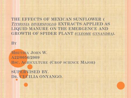 THE EFFECTS OF MEXICAN SUNFLOWER ( T ITHONIA DIVERSFOLIA ) EXTRACTS APPLIED AS LIQUID MANURE ON THE EMERGENCE AND GROWTH OF SPIDER PLANT ( CLEOME GYNANDRA.