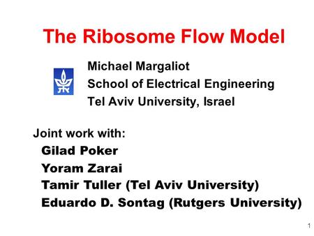 1 The Ribosome Flow Model Michael Margaliot School of Electrical Engineering Tel Aviv University, Israel Tamir Tuller (Tel Aviv University) Eduardo D.