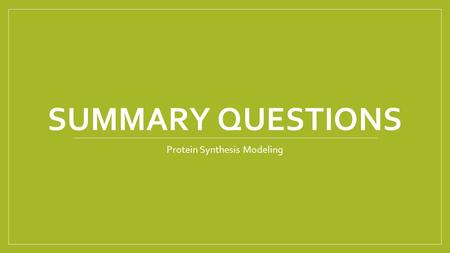 Protein Synthesis Modeling