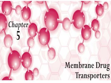 A General Overview The primary function of transporters is to transport endogenous substances, such as hormones, glucose, and amino acids; however, many.